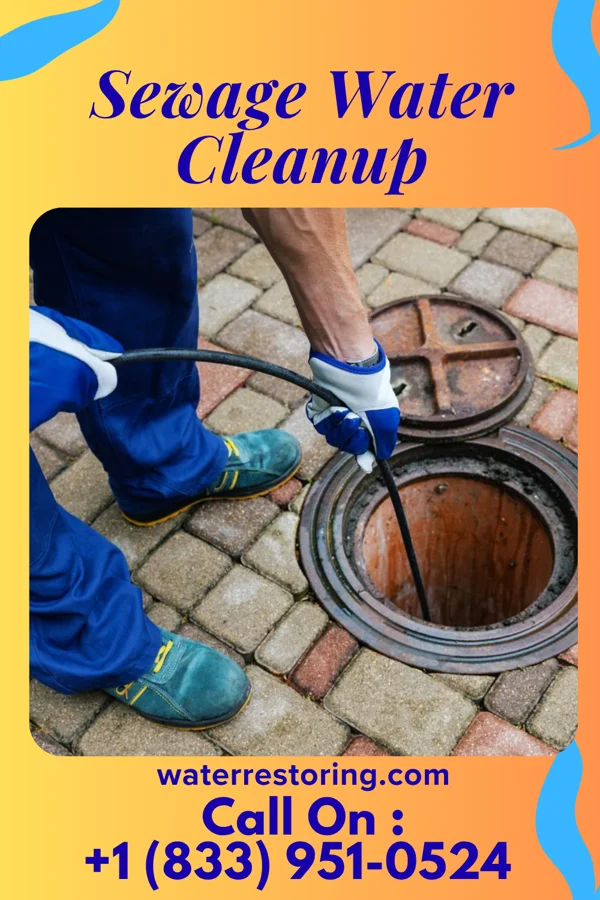 Sewage Water Cleanup in Bowling Green, MO