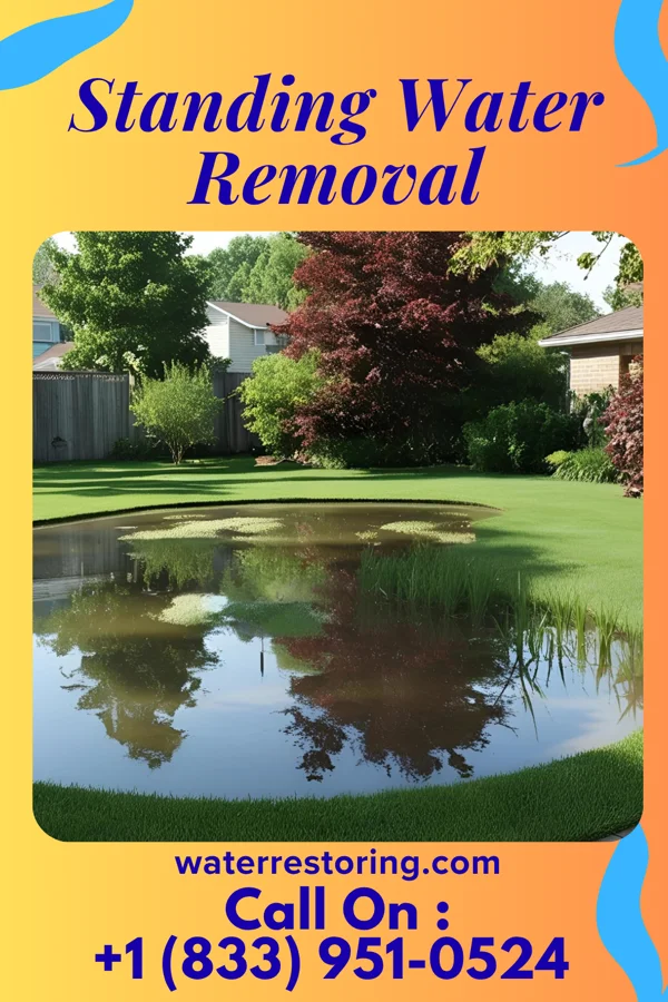 Standing Water Removal in Bowling Green, MO